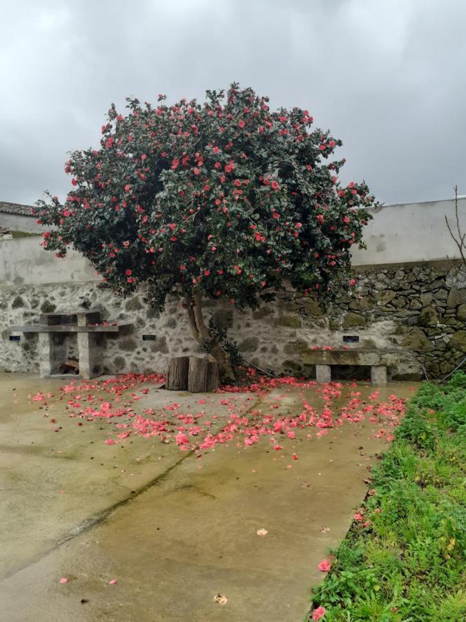 Basaltic Guest House Achadinha Εξωτερικό φωτογραφία